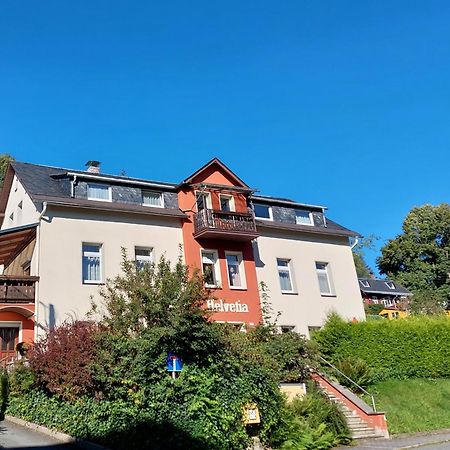 Villa Helvetia Bad Elster Extérieur photo