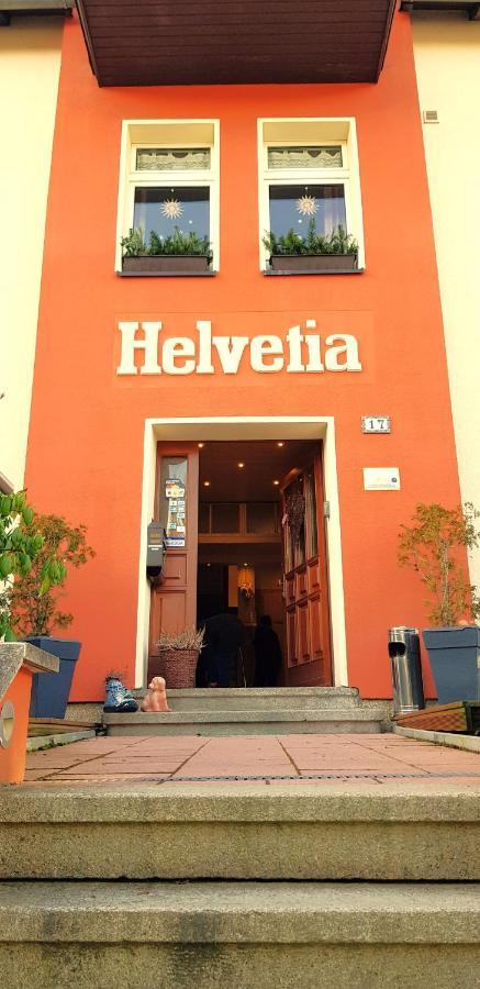 Villa Helvetia Bad Elster Extérieur photo