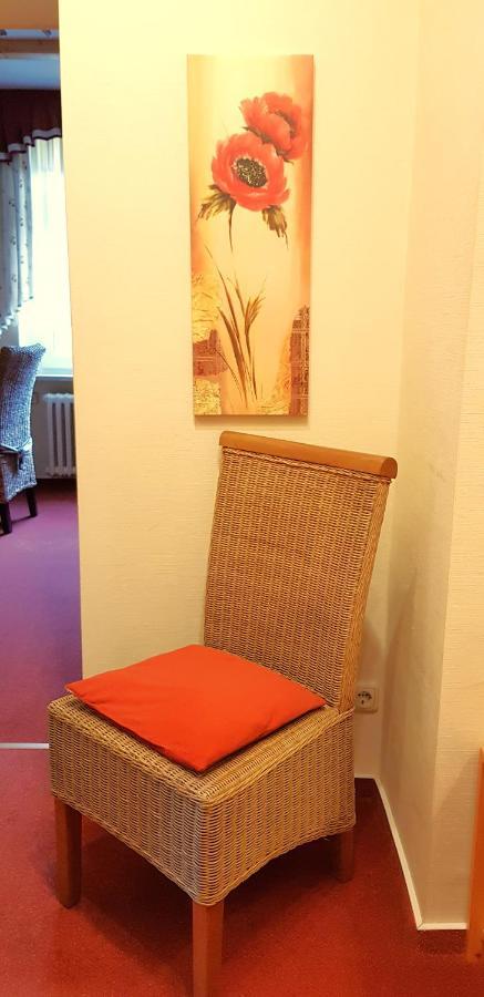 Villa Helvetia Bad Elster Extérieur photo