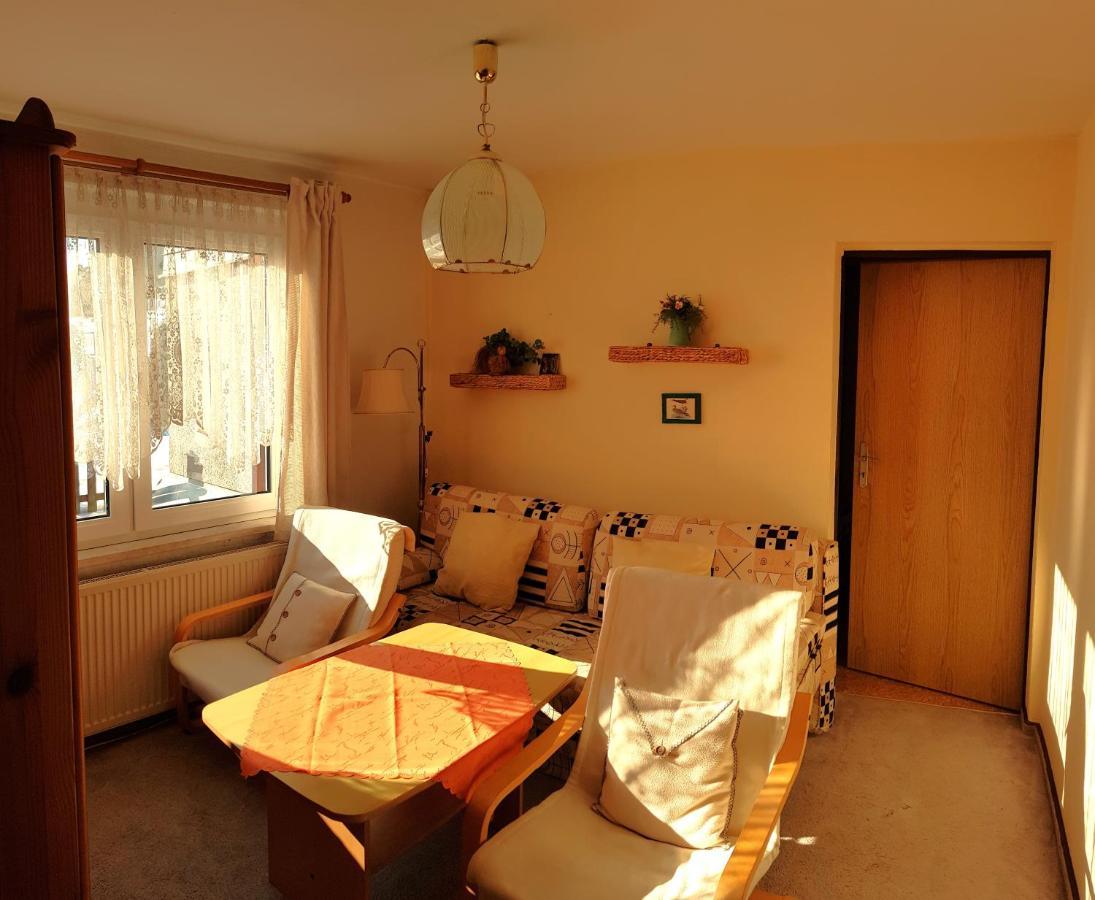 Villa Helvetia Bad Elster Extérieur photo
