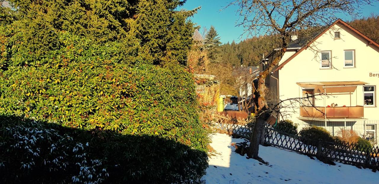 Villa Helvetia Bad Elster Extérieur photo