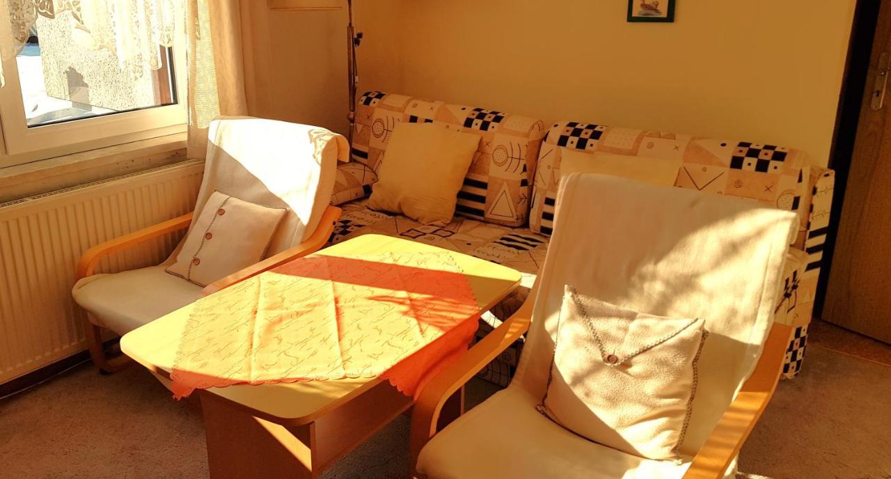 Villa Helvetia Bad Elster Extérieur photo
