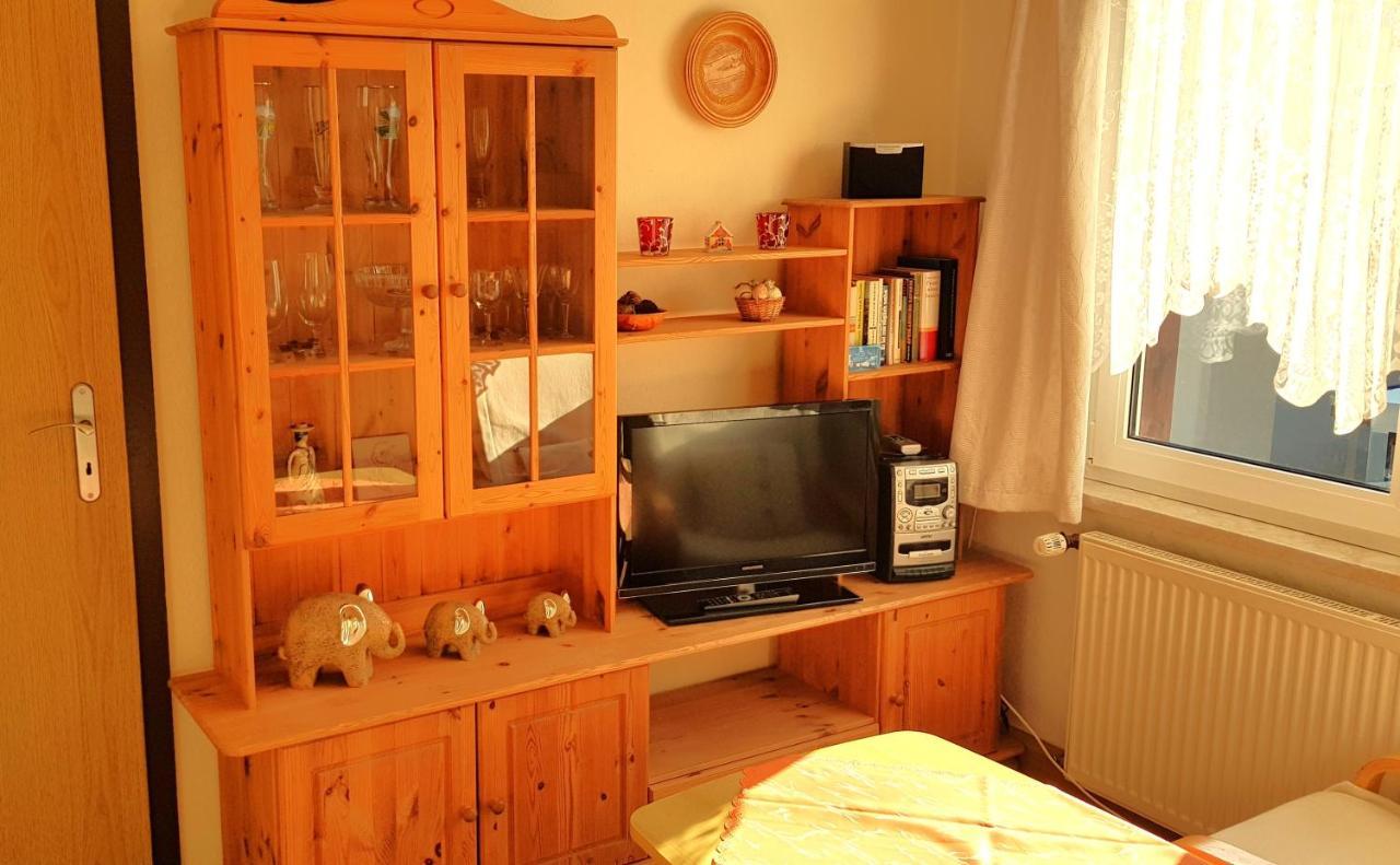 Villa Helvetia Bad Elster Extérieur photo