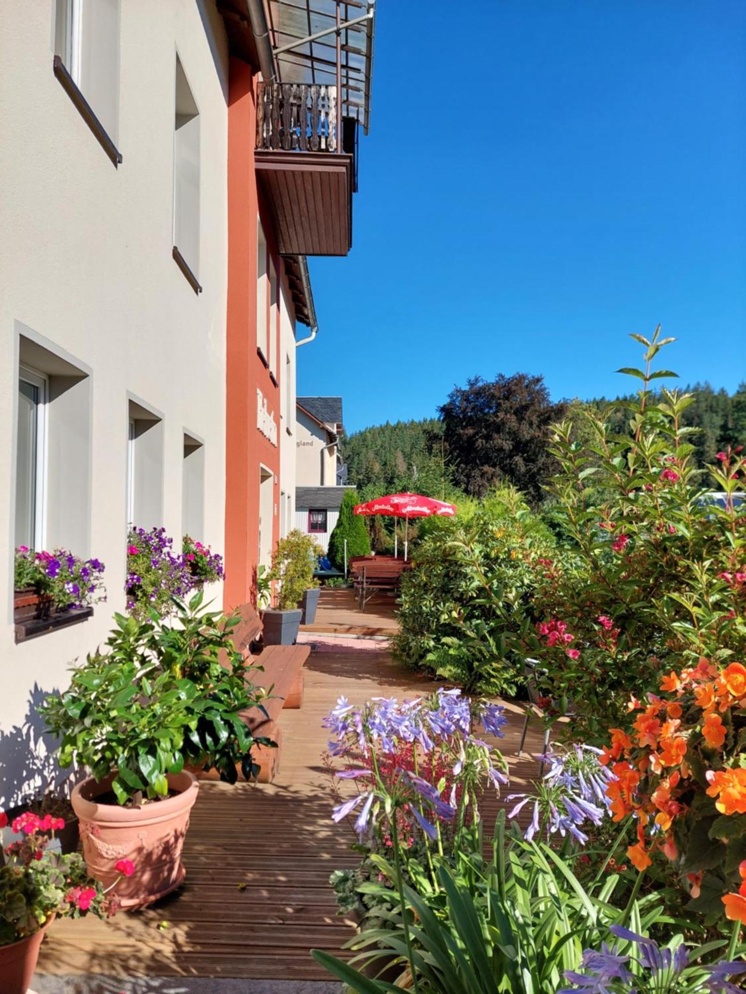 Villa Helvetia Bad Elster Extérieur photo