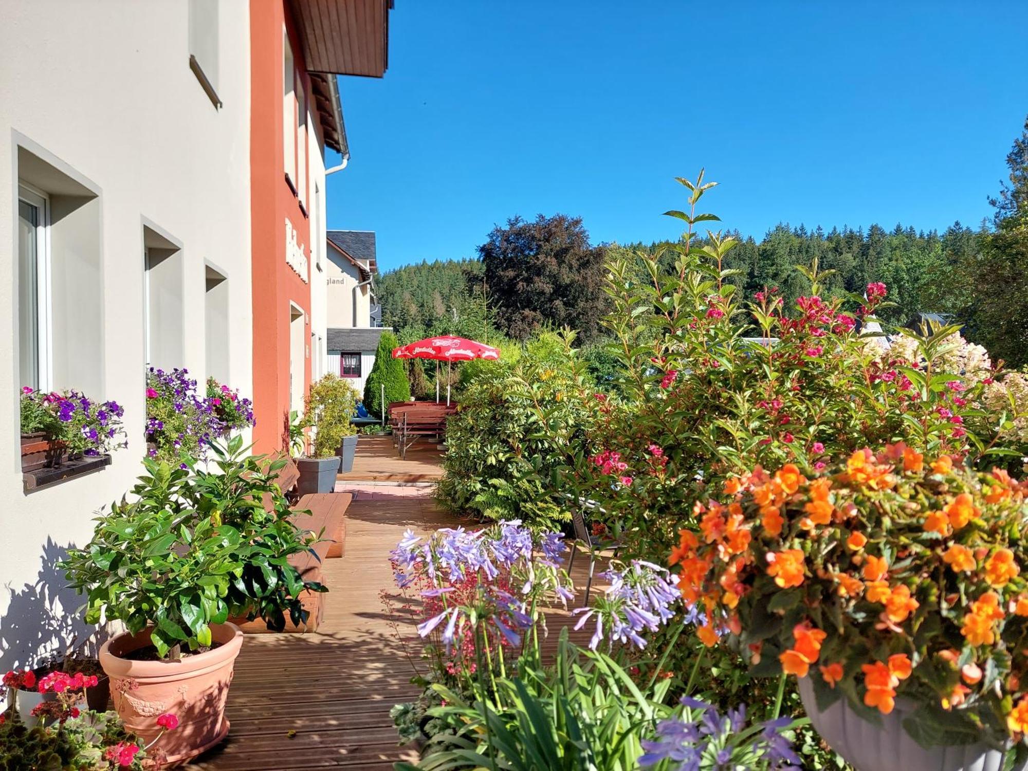 Villa Helvetia Bad Elster Extérieur photo