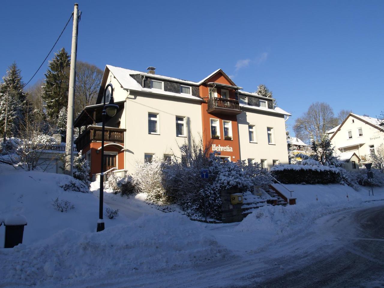 Villa Helvetia Bad Elster Extérieur photo